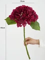 Red hydrangea