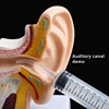 Ear Washing Device To Wash The Ear Pierced Ear Canal Absorbing Water Flushing Ear Washing Device Ear Picking Tool Cleaning 4