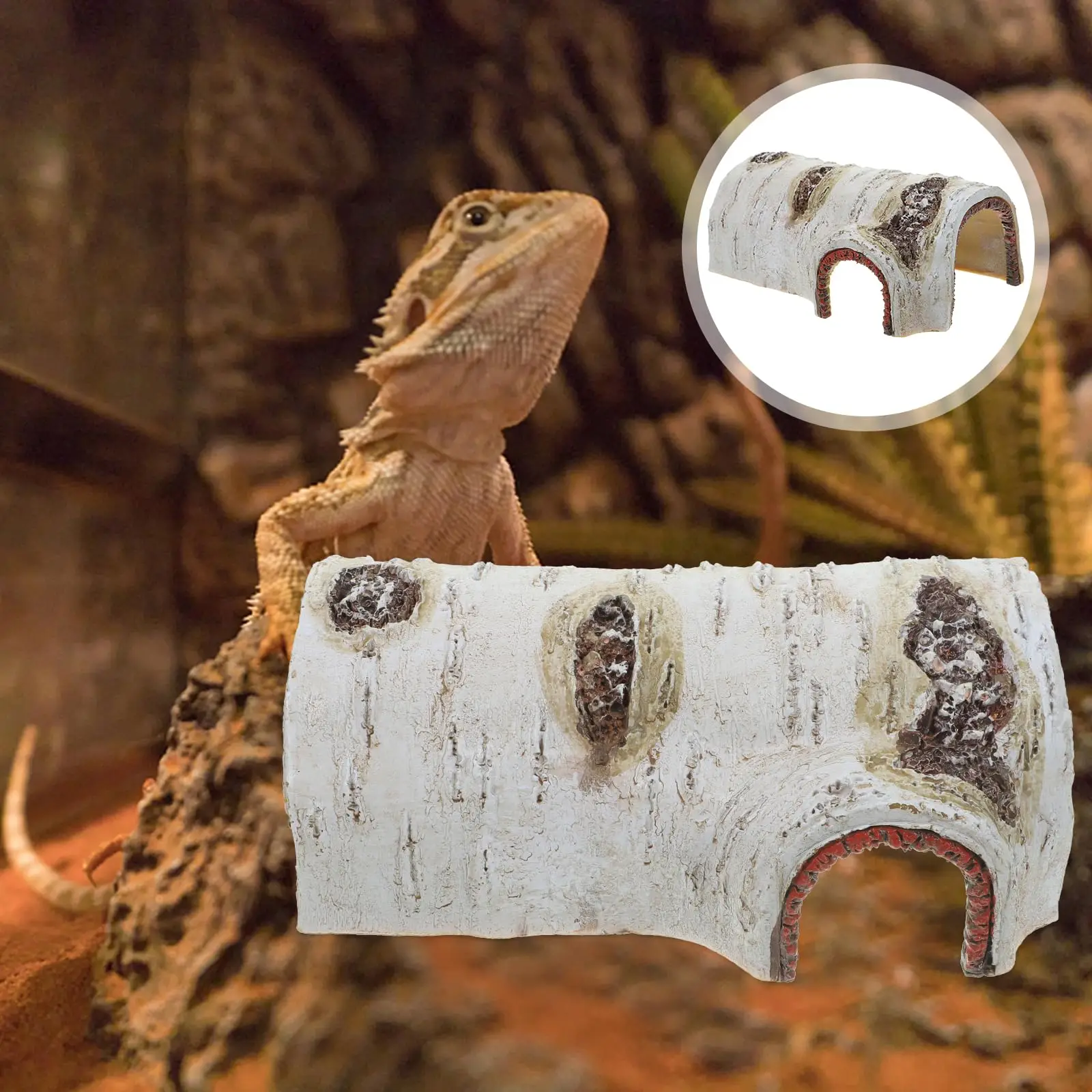 Reptile Breeding Box 6