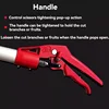 High Branch Shears for Picking Persimmons  Longans  Lychees and Grapefruits Telescopic Extension Poles Garden Tools 5
