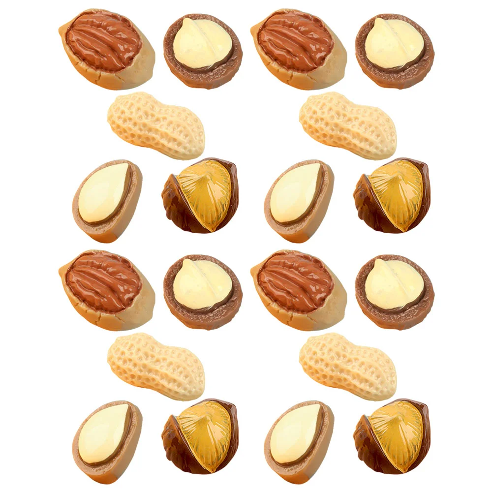 

20pcs Resin Fake Nuts Artificial Walnut Peanut Pistachio Models Mixed Style