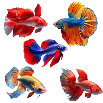 Betta Fish Wall Sticker Bagno Toilette Decor Soggiorno Armadietto Frigorifero Decorazione della casa Decalcomanie Adesivi S425 1