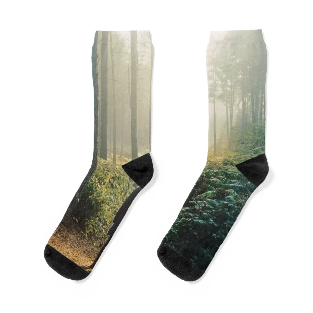 

Playground Socks christmas stocking funny gifts Woman Socks Men's