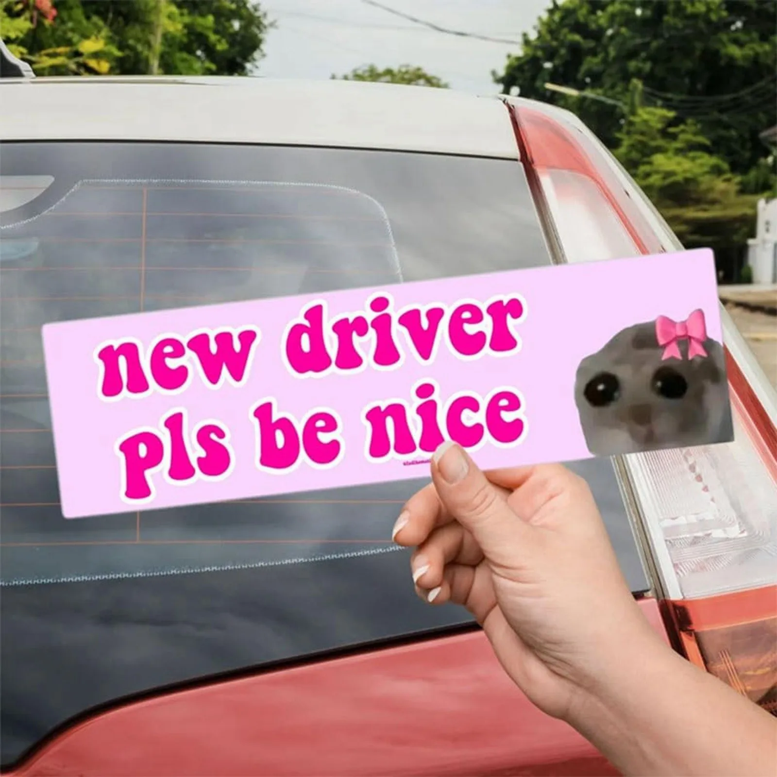 Driver Car Sticker Nice New Driver Please Be Nice Funny Self Learner Signs For Girls декор