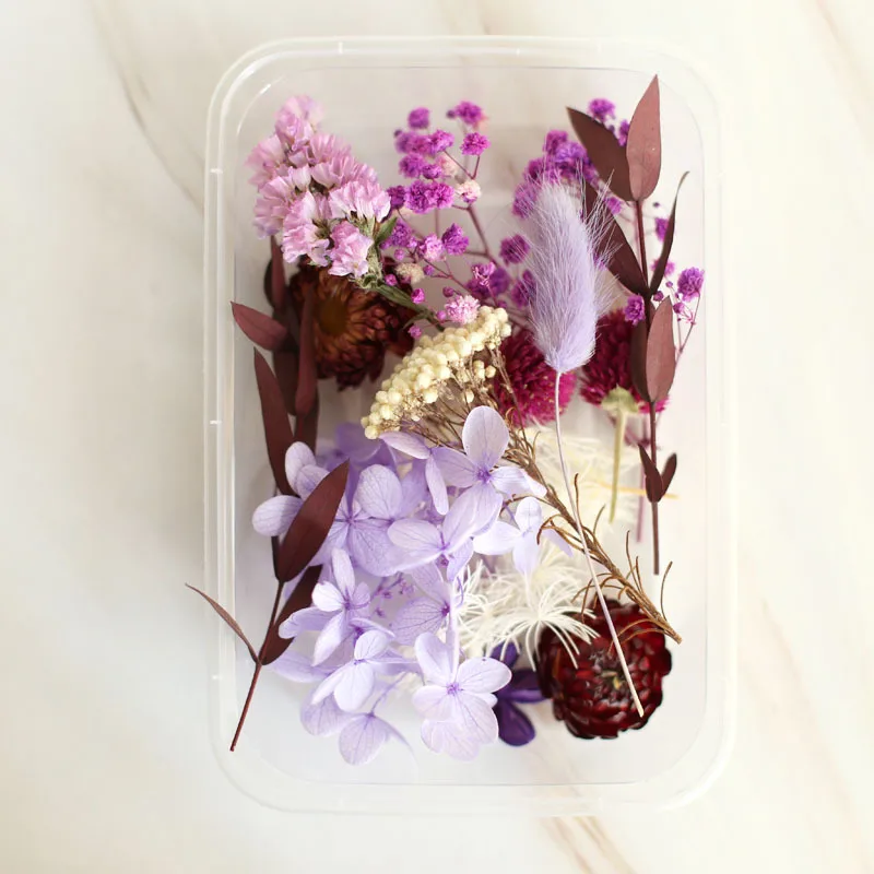 1 Set Preserved Flower Material Pack Christmas Dried Flower  Dried Pressed Flowers Dry Flowers for Decoration Plants DIY Crafts DIY  Accessory Purple Dried Flowers Aromatic Hydrangea : Home & Kitchen