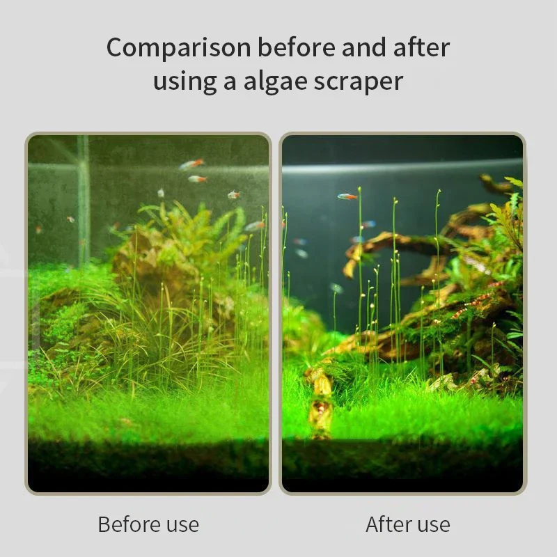 Fish Tank Cleaning Brush Long Handle Double-sided Aquarium Cleaning Tool