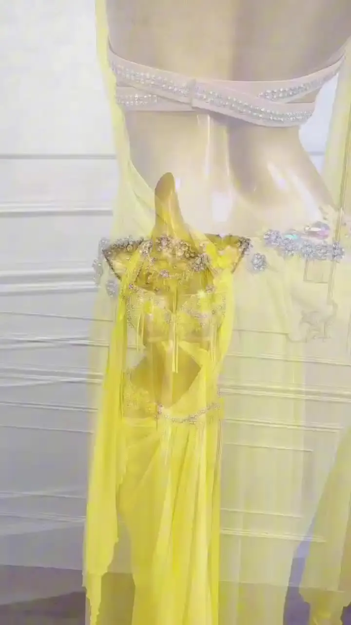 Костюмы для танца живота Dancer's Vitality