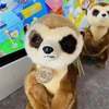 Meerkat High Fidelity Anime Cute Mongoose Plushie Suricate Plush Toys Lifelike Animals Simulation Stuffed Doll Kawai Toy Gifts 3