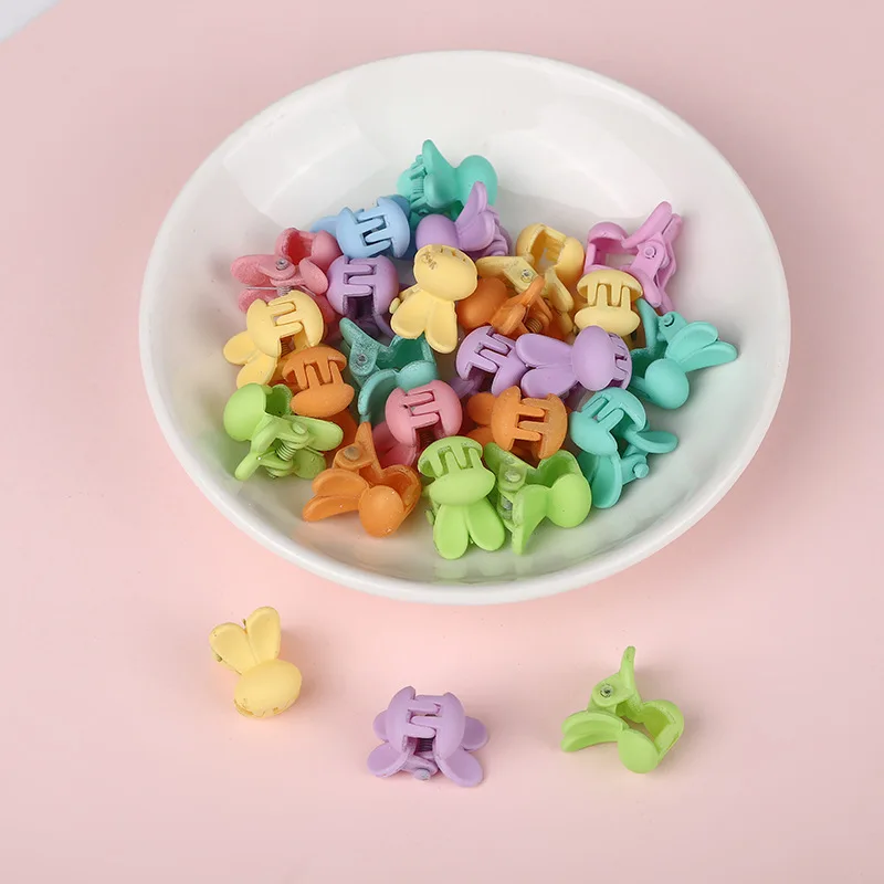 12 pcs rabbit
