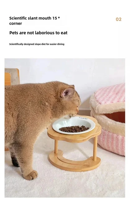 Cat bowl Ceramic saucer bowl Cat food bowl Dog bowl Pet cat plate Cat food bowl Rice bowl High foot protection neck 4