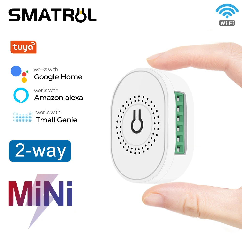 Tuya Mini WiFi Smart Switch Relay Module with Timing Function 16A 2-Way DIY  Smart Light Switch for Smart Home, Compatible with Alexa Google Home Smart