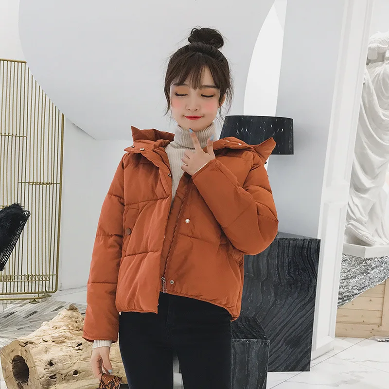 

Korean Thickened Hooded Parka Autumn Winter Puffer Jacket Women Long Sleeve Zipper Cotton Jacket Warm Short Tops Streetwear New