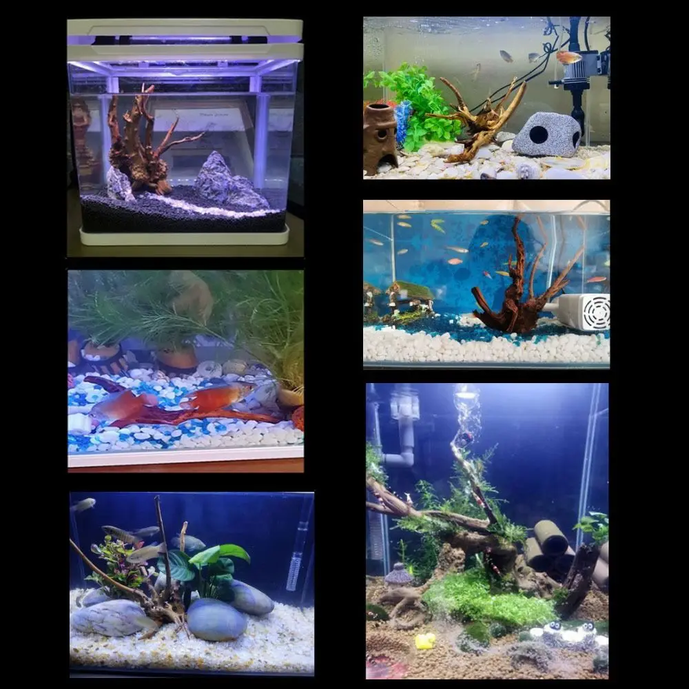 Large Natural Driftwood Decor 4