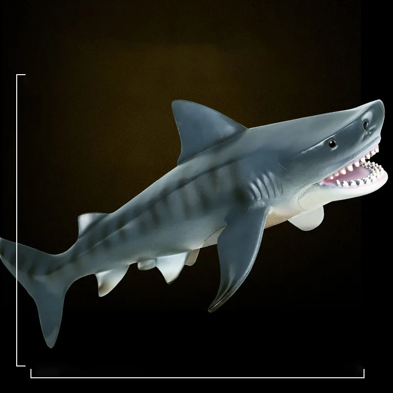 

Имитация морской жизни, сахарный тигр, Акула, модель, экшн-фигурка, ПВХ морское животное, развивающая коллекционная игрушка для детей, Прямая поставка