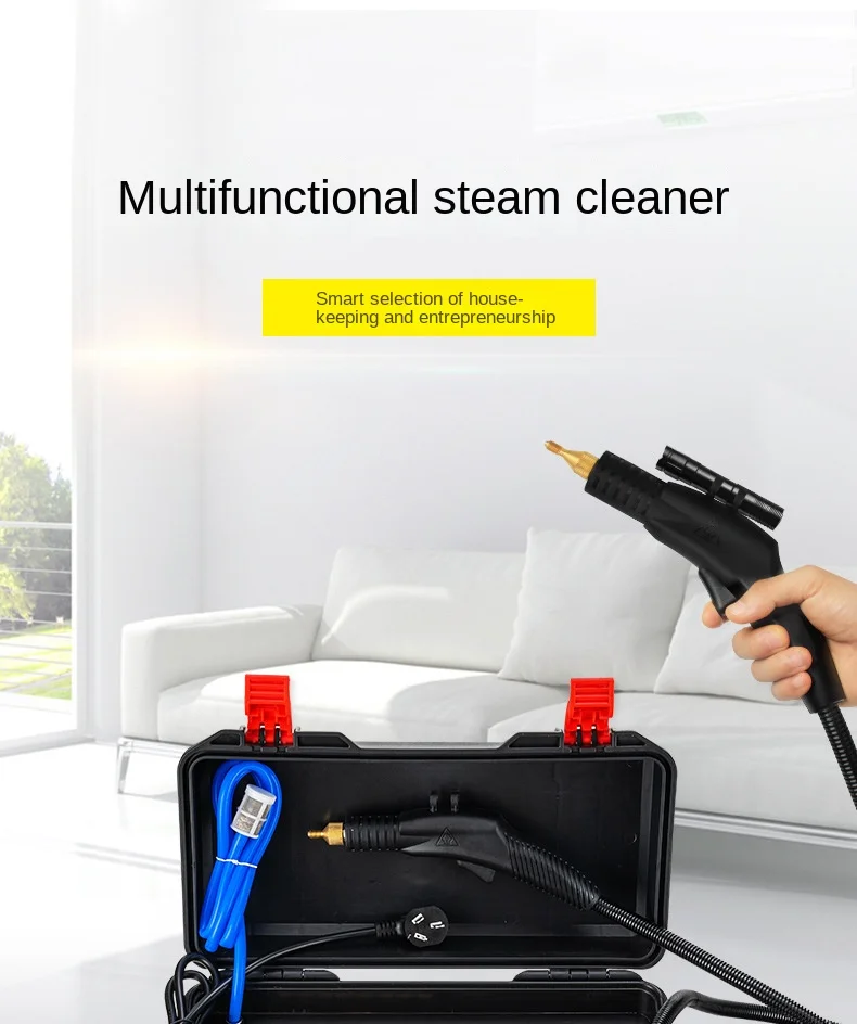 【高級】54万円　スチーム　cleaner　ECO　made in France スチーム クリーナー ECO made in France