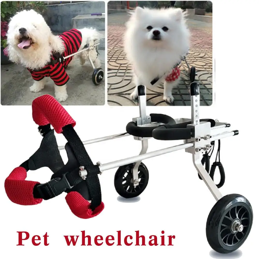  ZIMGOD Carrito de silla de ruedas para perros  pequeños/medianos, carrito de movilidad para perros para patas traseras,  silla de ruedas de rehabilitación de mascotas/sillas de ruedas para perritos/dispositivo  de caminar asistido (