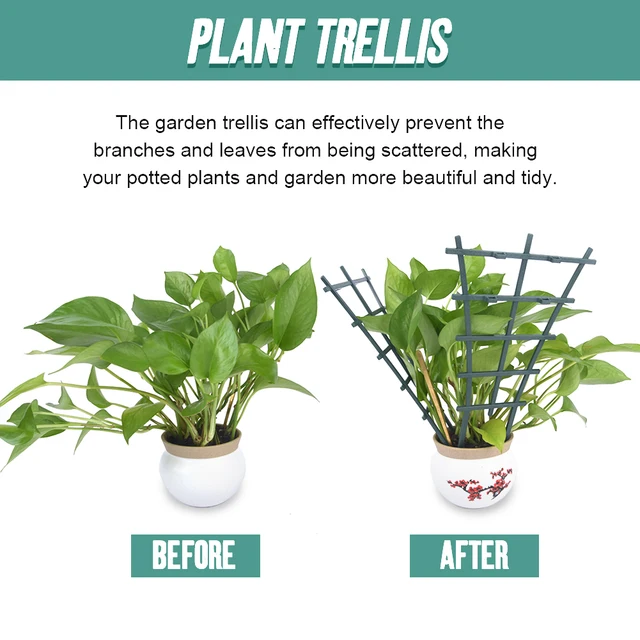 Mászó Szőlő Sötétzöld Virág Cserepes Mini Termesztési Növényi Rács Kert - Image 6