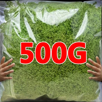 500/30G Artificial Green Plants Eternal Life Moss Mini Landscape Fake Grass DIY Crafts Grass Garden Home Room Potting Decoration 1