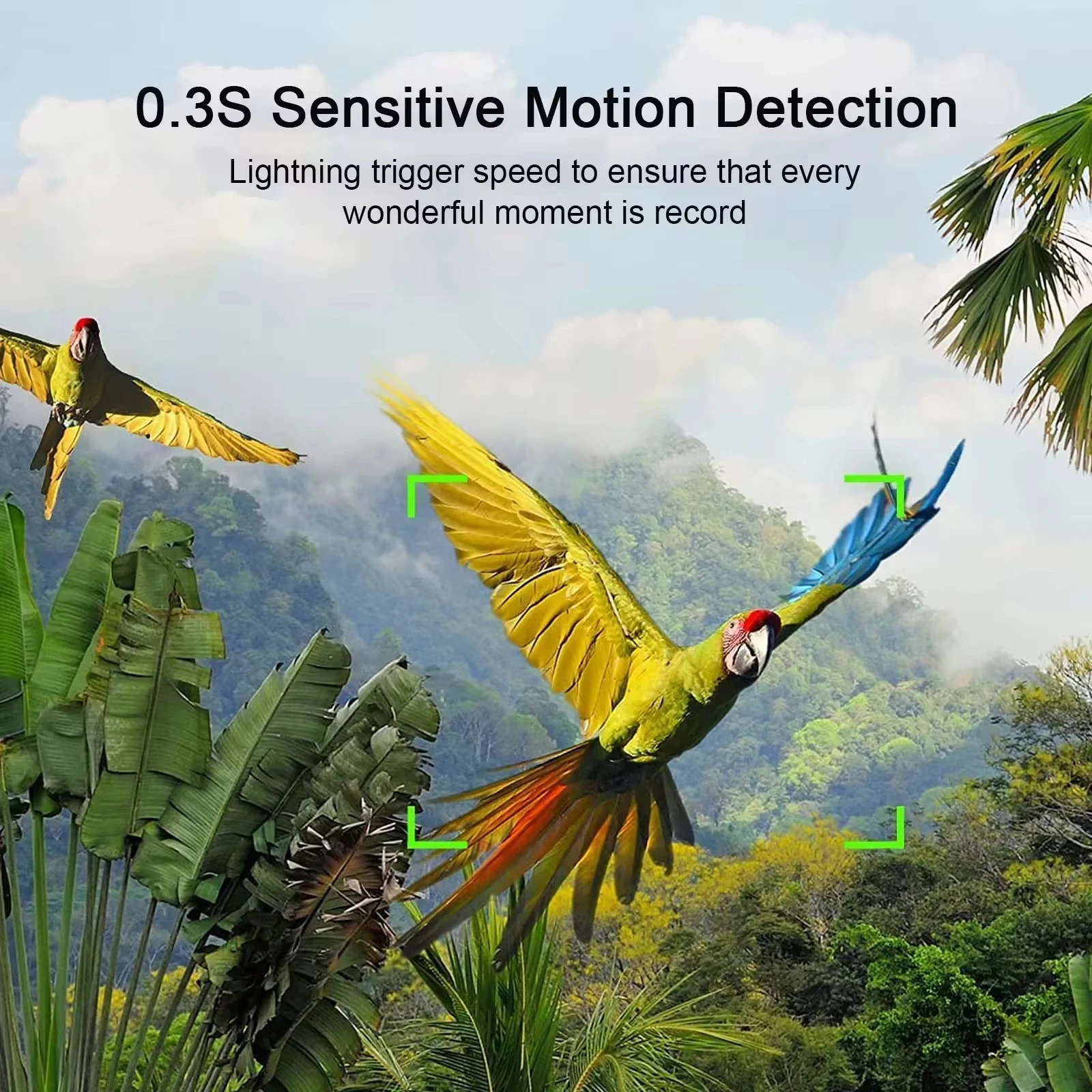 Mini Trail Hunting Camera 20MP 1080P Wildlife Hunter Cam Photo Trap Surveillance Tracking hunting trail camera trail camera