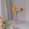 Glass Vase Potted Decoration Nordic Decorative Vase Hydroponic Terrarium Arrangement Container Flower Table Vase 2