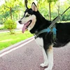 Nylon Durable Dog Harness No Pull Pet Harness with Handle Reflective Training Harness For Small Medium Large Dog German Shepherd 3