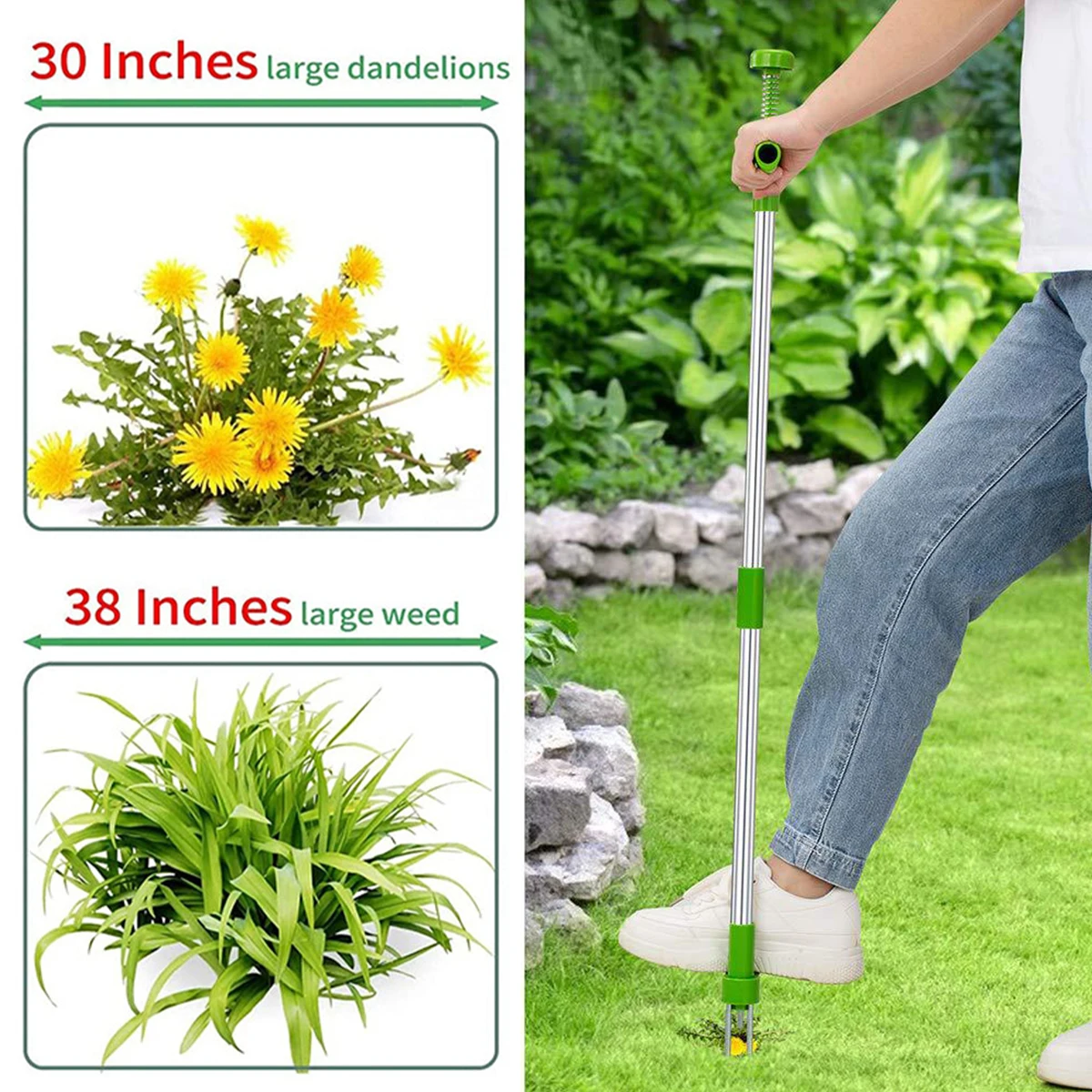 Extrator Ervas Daninhas Jiozermi - Ferramenta Jardim Aço Inoxidável 330mm