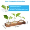 Glass Vases with Wooden Tray 3 Bulb Flower Vase Small Plant Propagation Stations for Wedding Bedroom Home Decor Table Decoration 2