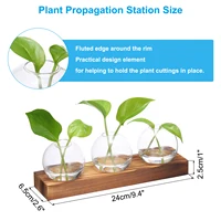 Glass Vases with Wooden Tray 3 Bulb Flower Vase Small Plant Propagation Stations for Wedding Bedroom Home Decor Table Decoration 2