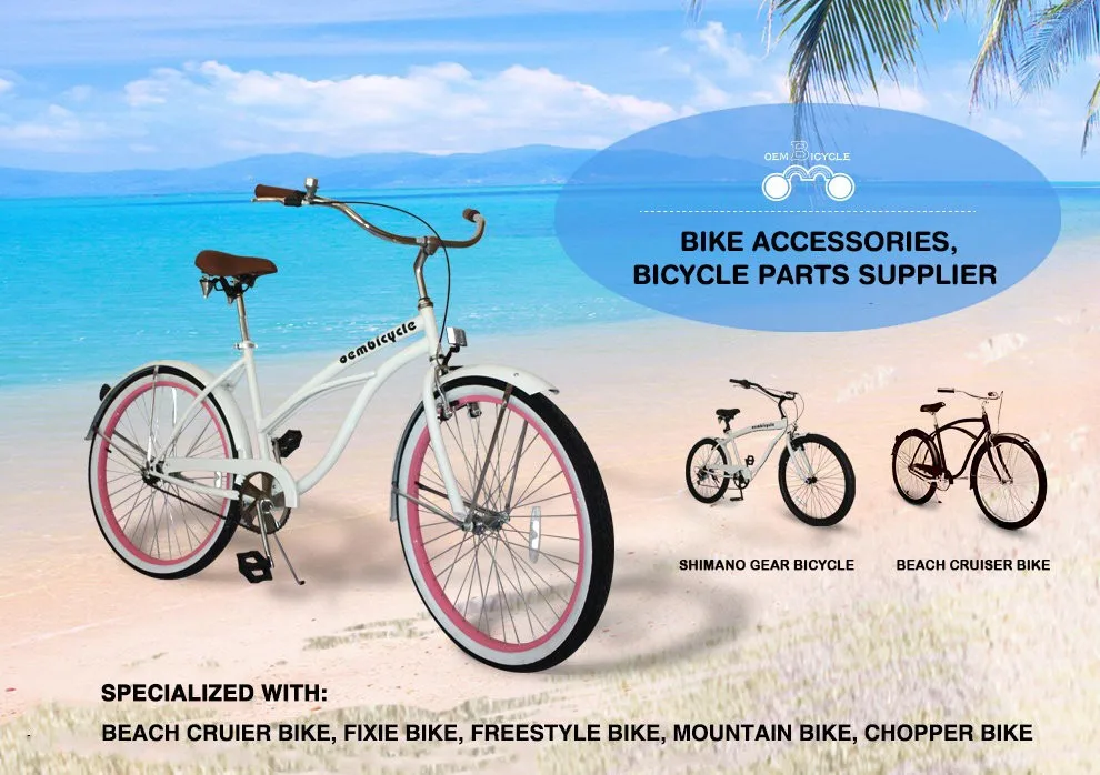 Single Wheel Fat Tire Bicycle Cargo Trailer for Hunting Steel Frame Electric Bike Trailer with Suspension