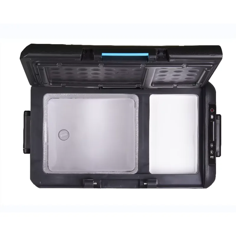 Hot selling Factory direct sale PP+HDPE material 110L mini 220v 12v portable compressor car refrigerator