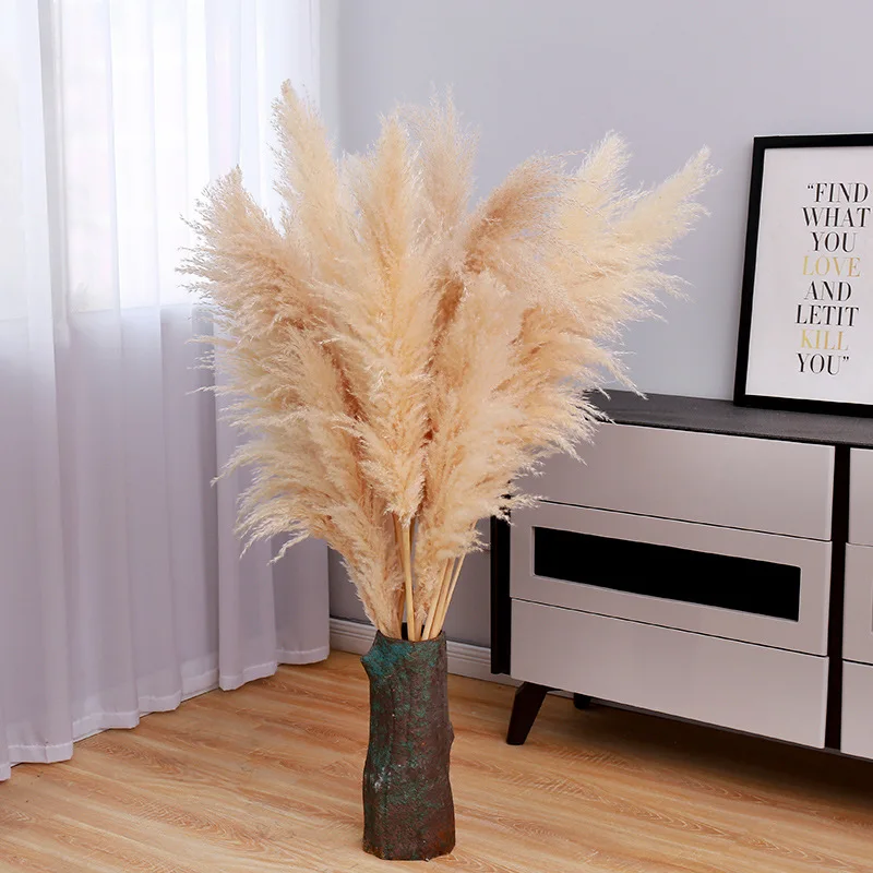 80Cm Large Pampas Grass Flowers Bouquet Fluffy Dried Floral Decoration - 5Pcs