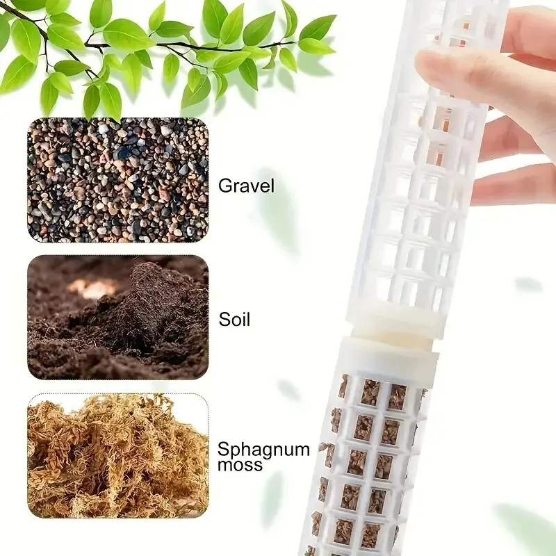 Dual Moss Plant Support Poles - Durable Indoor Plant Stakes