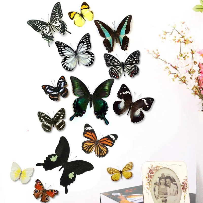 Butterfly Specimens Spread Their Wings of Natural True Butterfly Insects Full Tentacles Biological Teaching DIY Hand Home Decor Butterfly Specimen