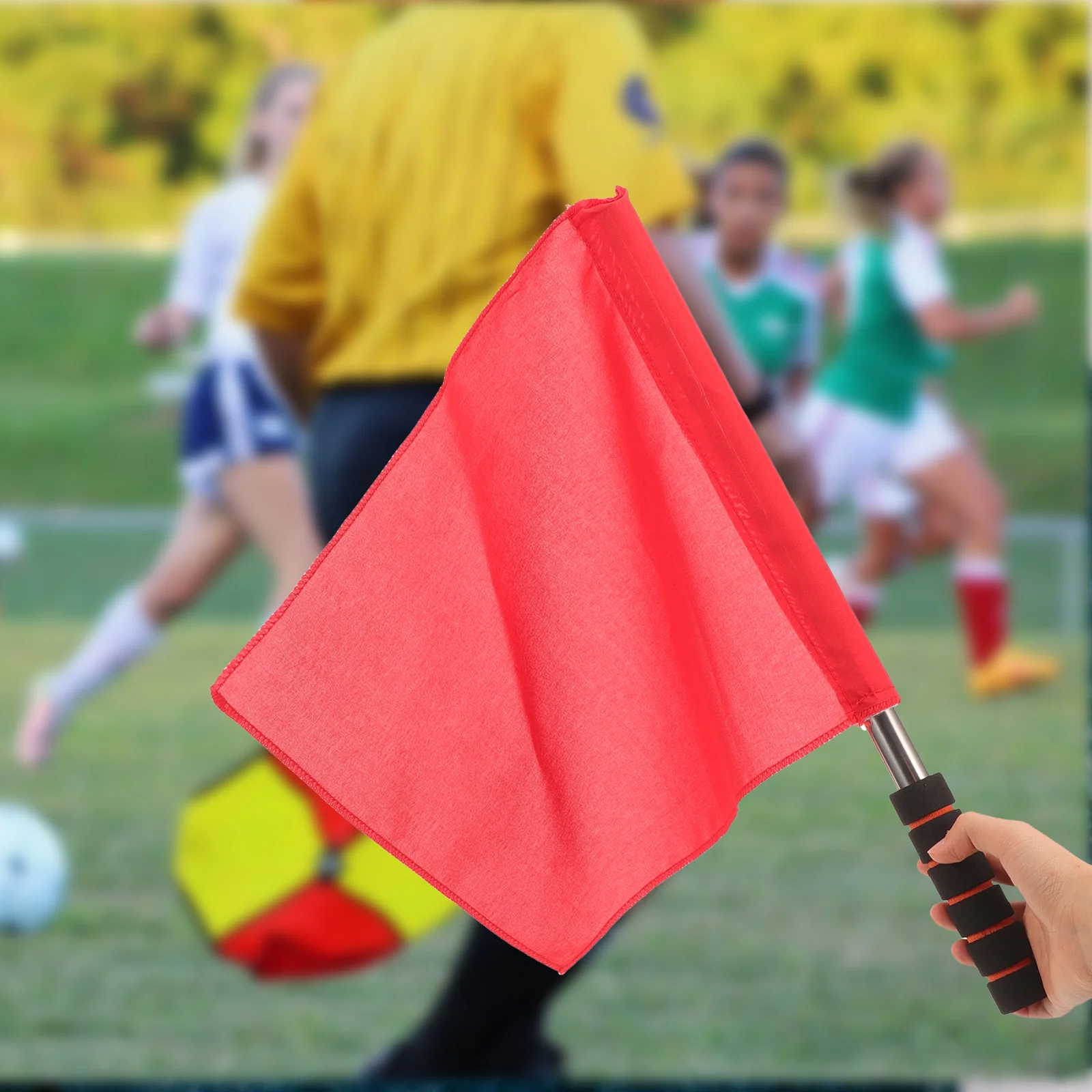 Рисунок 5 - Название: флаг рефери