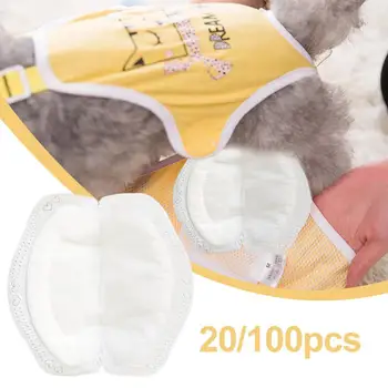 Disposable Female Dog Diapers 1