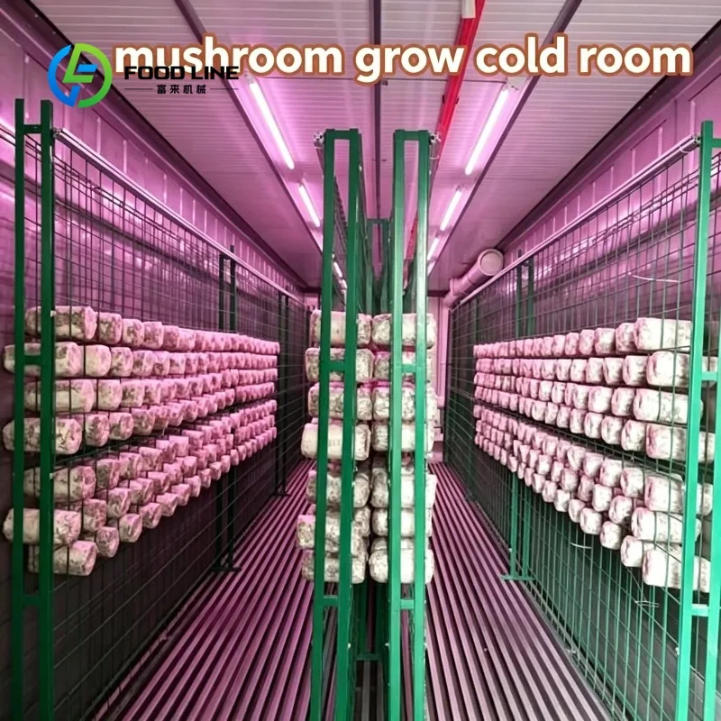 รูปสินค้า ตู้ปลูกเห็ดอัจฉริยะ 20-40 ฟุต ระบบ Smart Farm