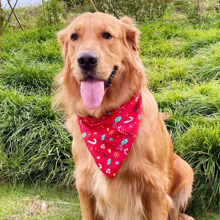 Title 13, Personalized Pet Cat Scarf Dog Bandanas Christm...