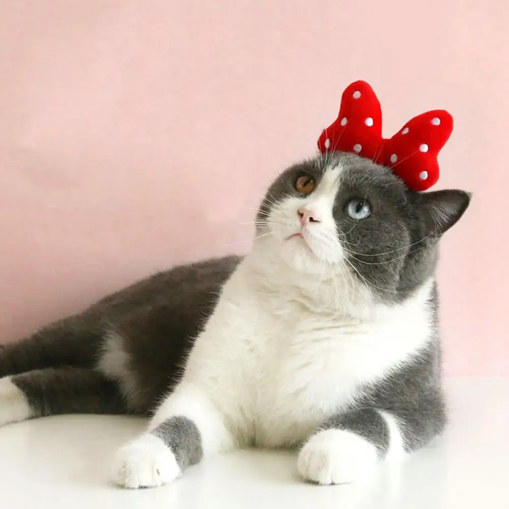 Chic Cat Headband Lightweight Anti-slip Kitten Head Hoop One Size Pet Headgear Pet Headgear Decorative