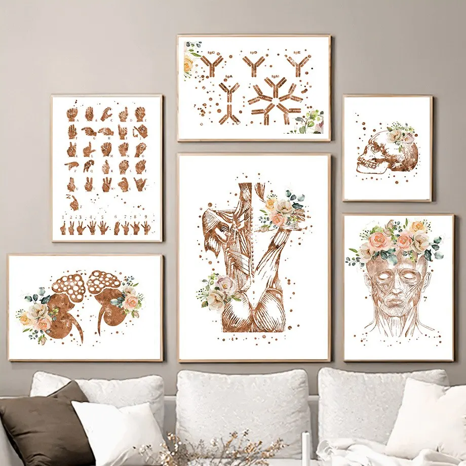 p-ster-de-pintura-en-lienzo-de-anatom-a-m-dica-de-esqueleto-de-ri-n-png
