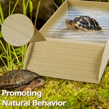 Turtle Reptile Bathing Pool 3