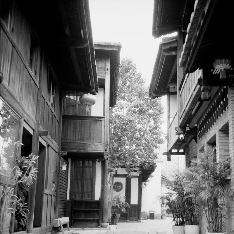 Rollei RPX 100 120  Black And White Negative Film（36 ExposuresRoll）1-8 Rolls For 120 Film Camera  (Expiry Date:  2026)