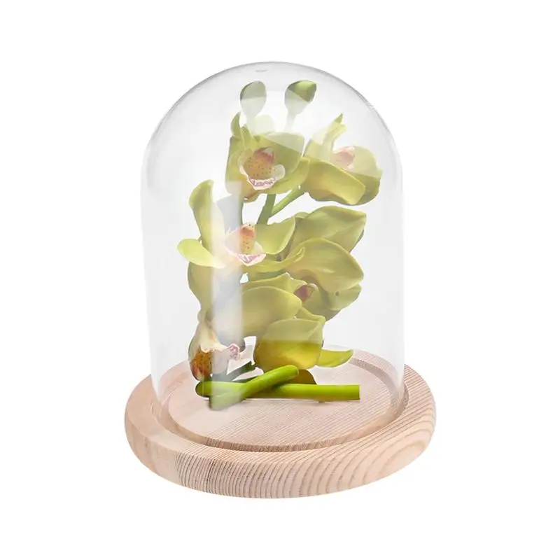 Glass Cover Dome Flower Jar Bell Cloche Transparent Display Case Base Stand Book Domes Table Centrepiece Christmas glass display dome