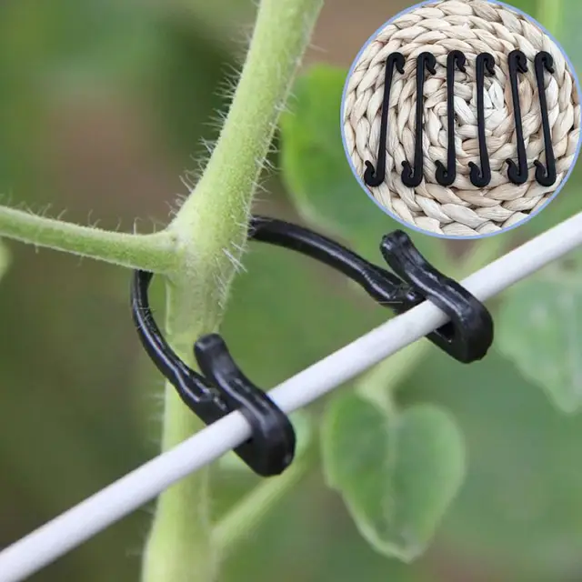 Műanyag Növényi Rögzítő Klipek Paradicsomos Tartó Szőlőállvány Háló Rögzítőelemek Kertészeti Mezőgazdasági Csomagoló Vonal Ketrec Harisnyakérzet