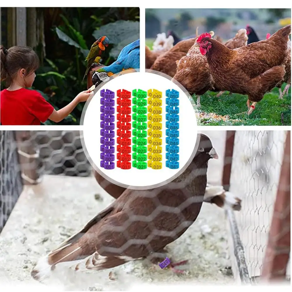 Description Picture 6 of item1.6cm 01~50 Chicken Foot Ring Turkeys Quail Foot Ring Easy Install & Remove Manually Poultry Carry Foot Ring 50/100 Pcs