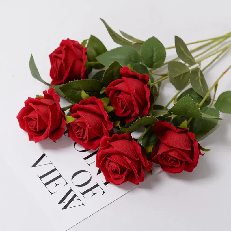 red rose