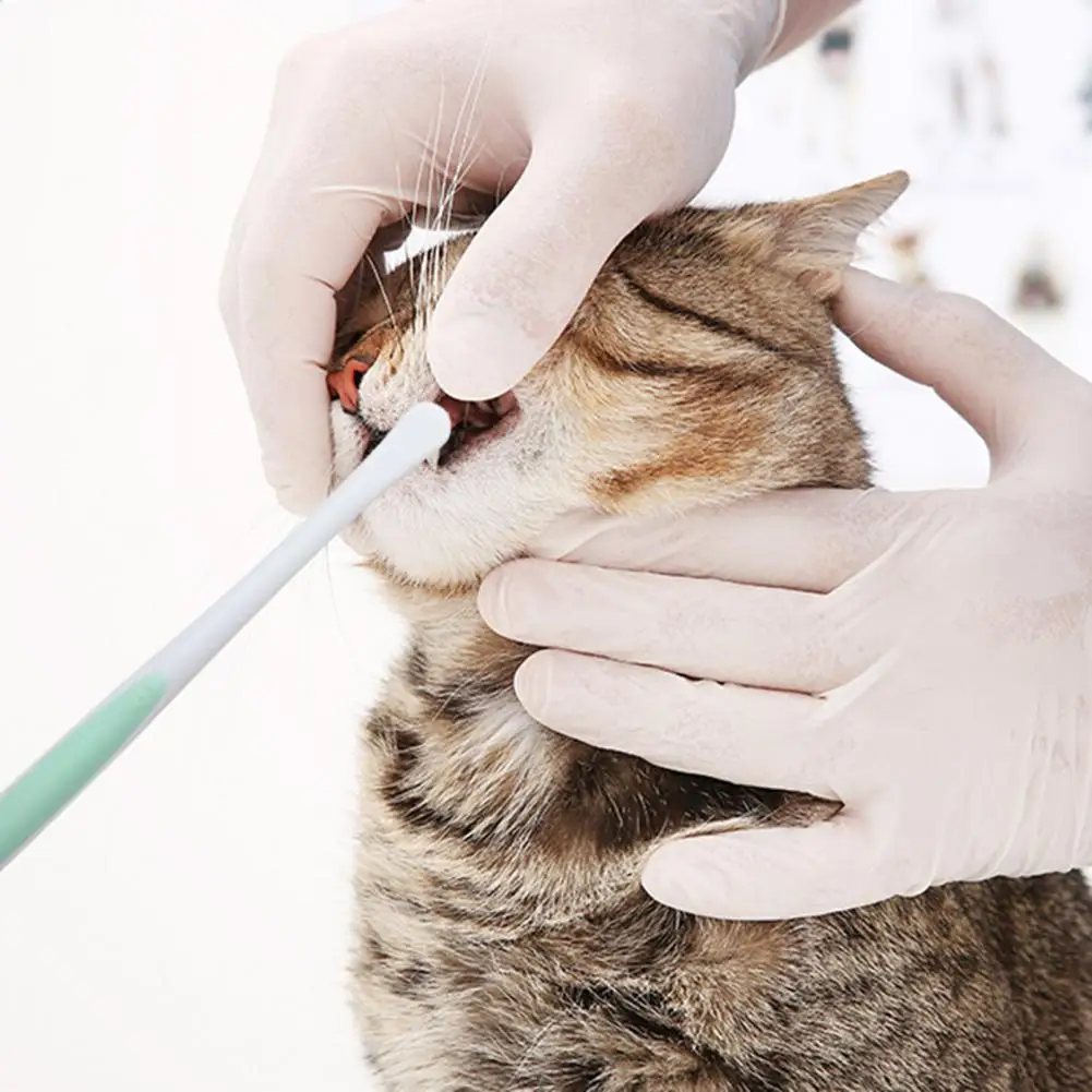 

Durable Oral Cleaning Toothbrush Lightweight Pet Toothbrush Small Pet Cat Dog Oral Cleaning Tool Clean Teeth