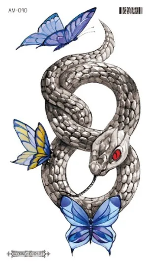 Image 17