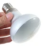 UVA+UVB Reptile Lamp Bulb Turtle Basking UV Light Bulbs Heating Lamp Amphibians Lizards Temperature Controller 6