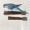 wooden parrot stand pole perch wood natural tree branch bird stand beak and claw grinding parrot toys birdcage decoration pets 2