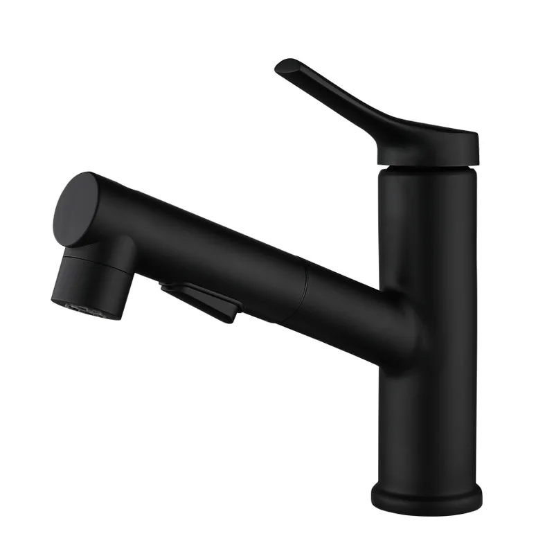 

304 Stainless Steel Black Pull Basin Faucet Drawing Hot and Cold Mixed Water Multi-function Washbasin Telescopic Faucet